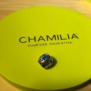 Disney Chamilia Dreams really do come true charm